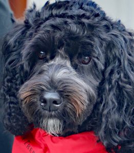 Close up photo of Kelby May