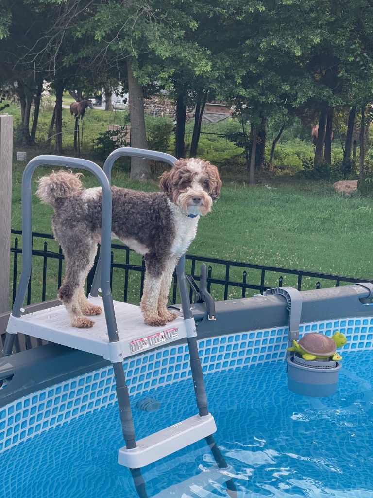 Photo of Country Charms Waldo at the swimming pool