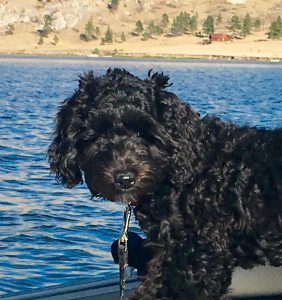 Photo of Kelby May on a boat