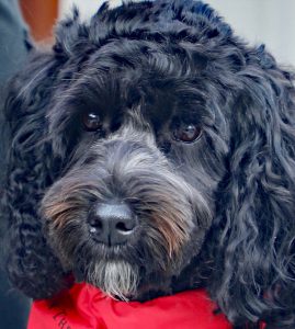 Closeup photo of Kelby May